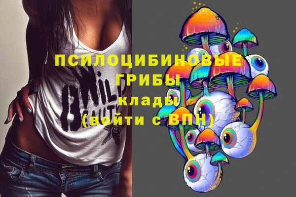 спайс Аркадак