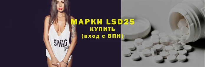спайс Аркадак