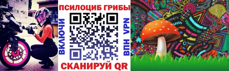Галлюциногенные грибы Psilocybine cubensis  площадка формула  Советский 